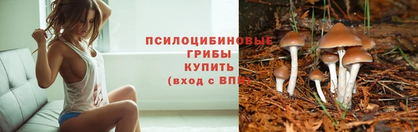 apvp Балахна