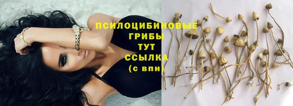 apvp Балахна