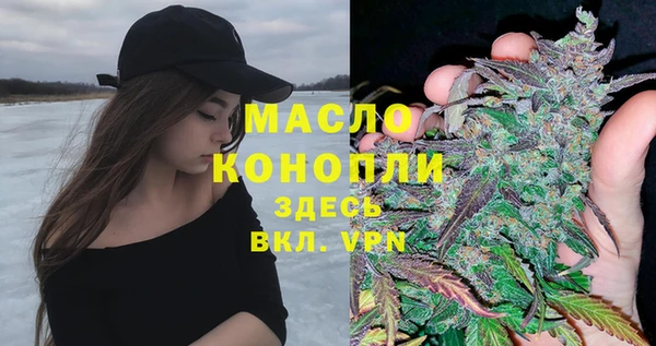 сатива Баксан