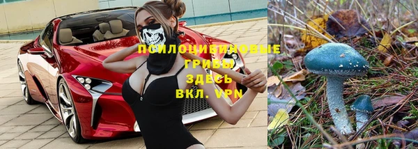 apvp Балабаново