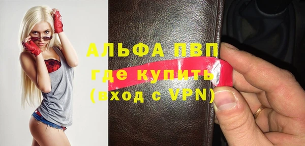 сатива Баксан