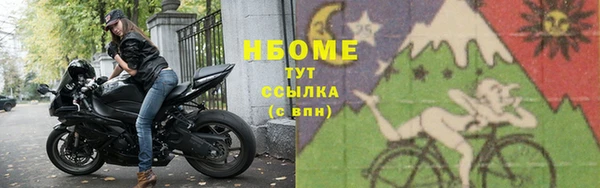 сатива Баксан